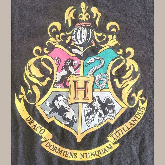 Harry Potter Hogwarts Crest Youth T-Shirt - Size Medium Unisex - Black - Picture 2 of 9